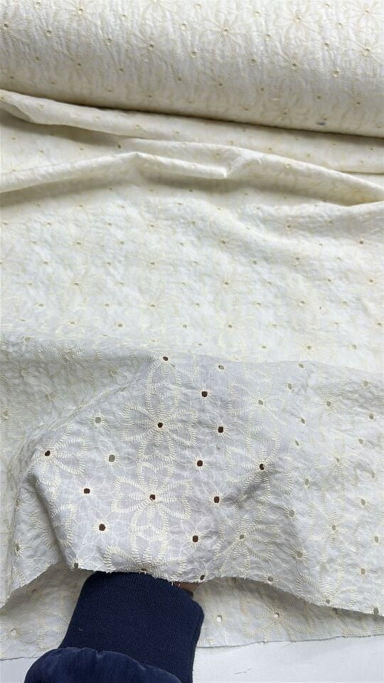 Krem Pamuk İşlemeli Fisto Kumaş